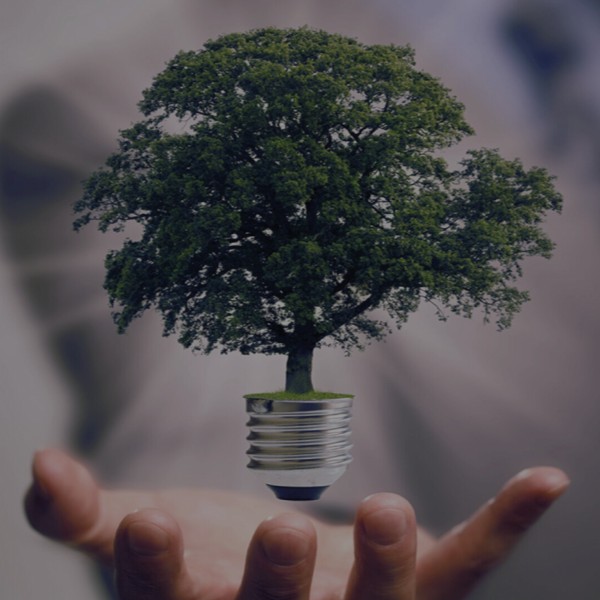 ambiente-sustentabilidade-4-edicao-