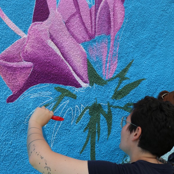 artes-visuais-pintura-ambiental
