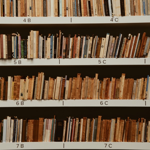 bibliotecavitordesadigitall