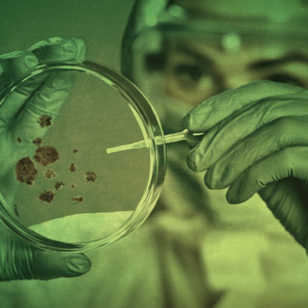 Biotecnologia Alimentar e Molecular