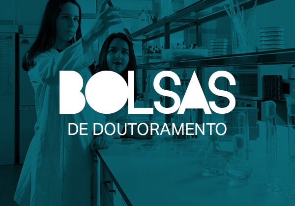 bolsas-de-doutoramento-20232026