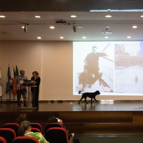 Canis em Ambiente Aquático