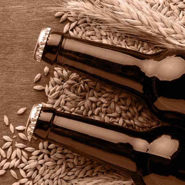 cerveja-do-grao-ao-copo-fundamentos-producao-e-servicos-tecnicos