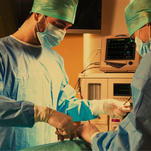 cirurgia-em-animais-de-companhia