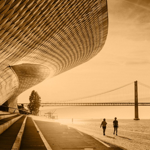 NECS Conference 2025: Cinema e Artes dos Media em Foco
