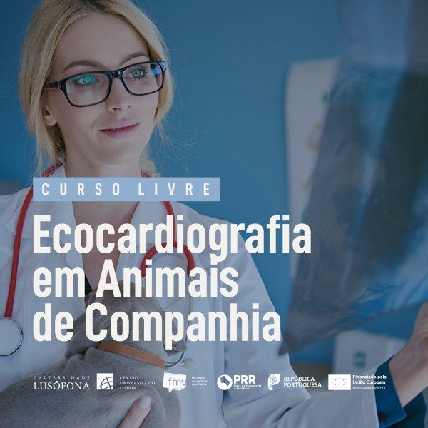 ecocardiografia-em-animais-de-companhia