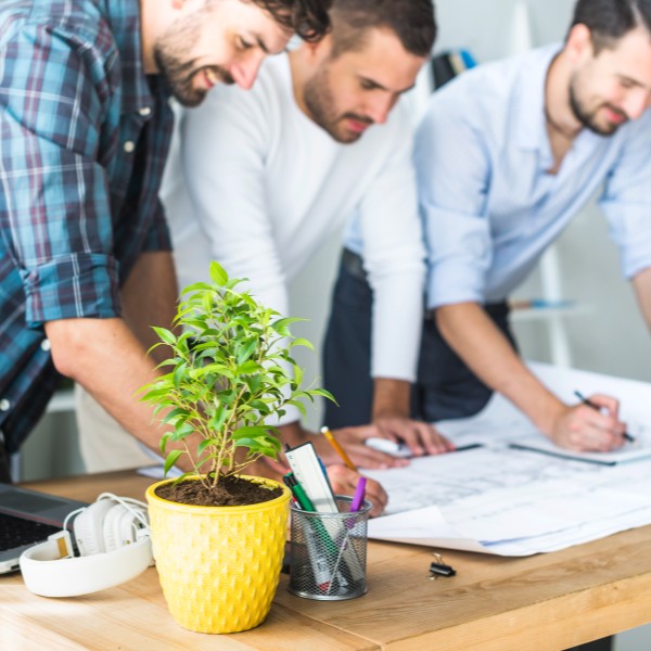 estudantes-de-engenharia-do-ambiente-analisam-qualidade-do-ar-em-portugal