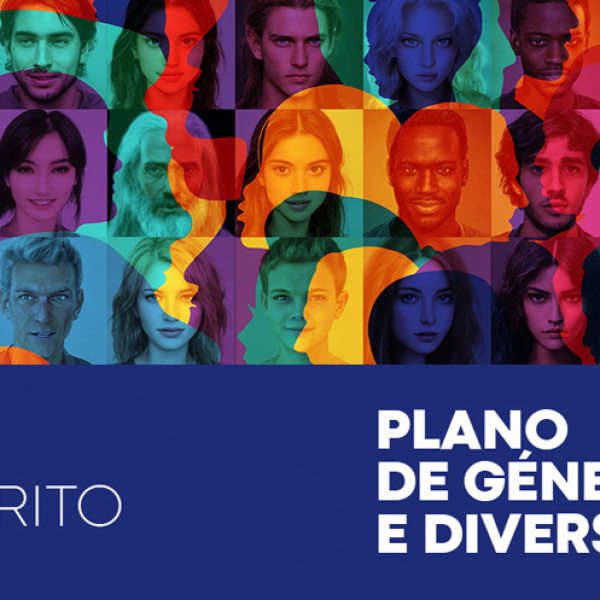 inquerito-plano-genero