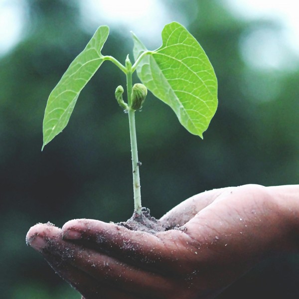 jornadas-da-sustentabilidade-2024