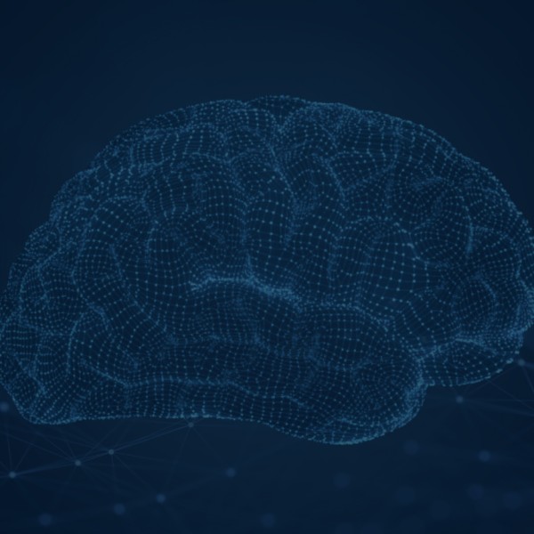 cyber-cyberspace-behavior-and-e-therapy-european-joint-master-degree-erasmus-mundus