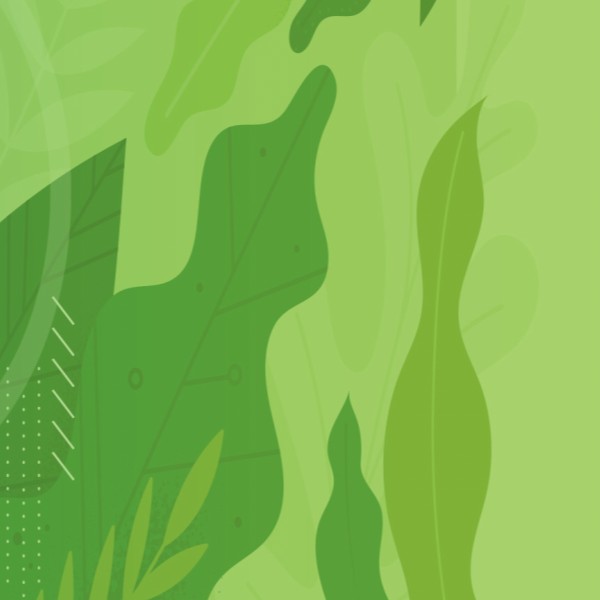 lusofona-verde-eco-escolas