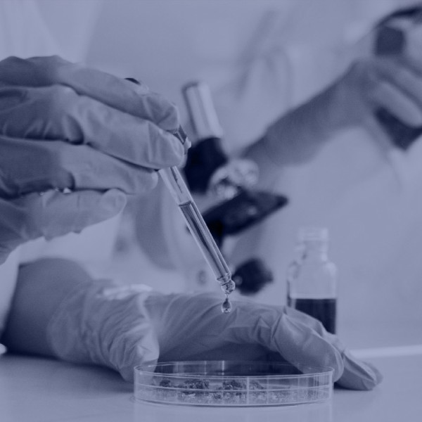 Mestrado em Bioquímica Aplicada