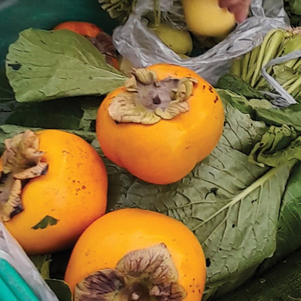 ugly fruits not