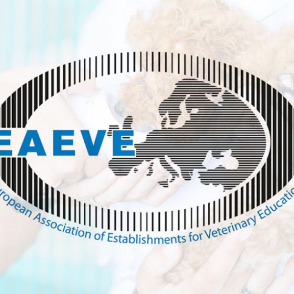 veterinaria-eaeve