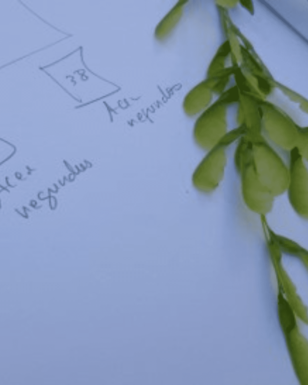 Estudantes da ULusófona Investigam Biodiversidade no Campus Universitário
