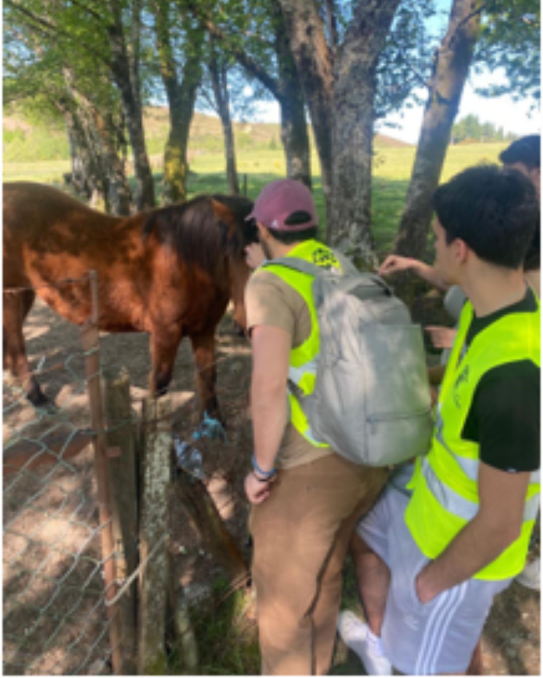 Faculdade de Engenharia Visita Reserva Natural do Corno do Bico