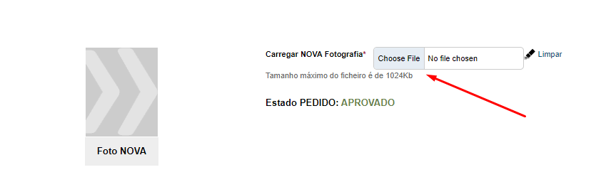 fotografia netpa