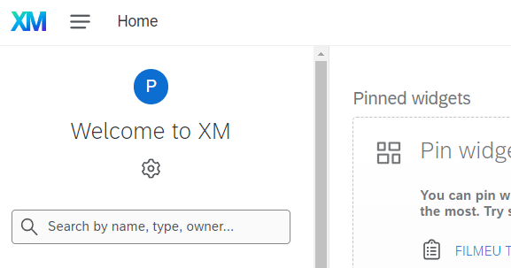 Login com sucesso Qualtrics