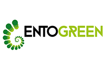 EntoGreen – Desenvolvimento de uma alimentação sustentável
