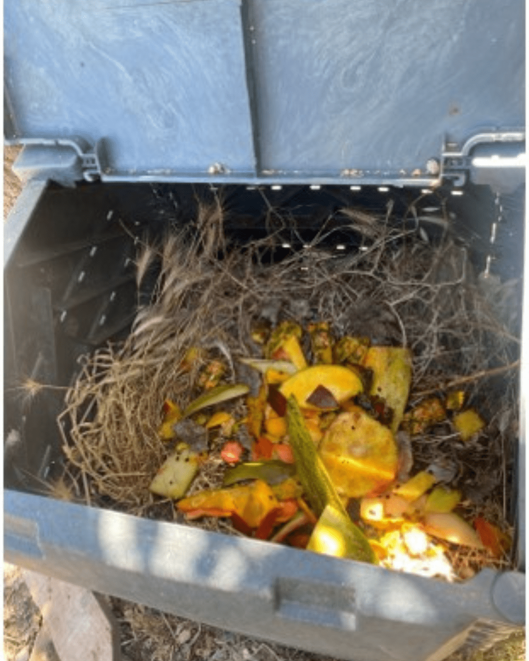 Projeto de Compostagem na ULusófona