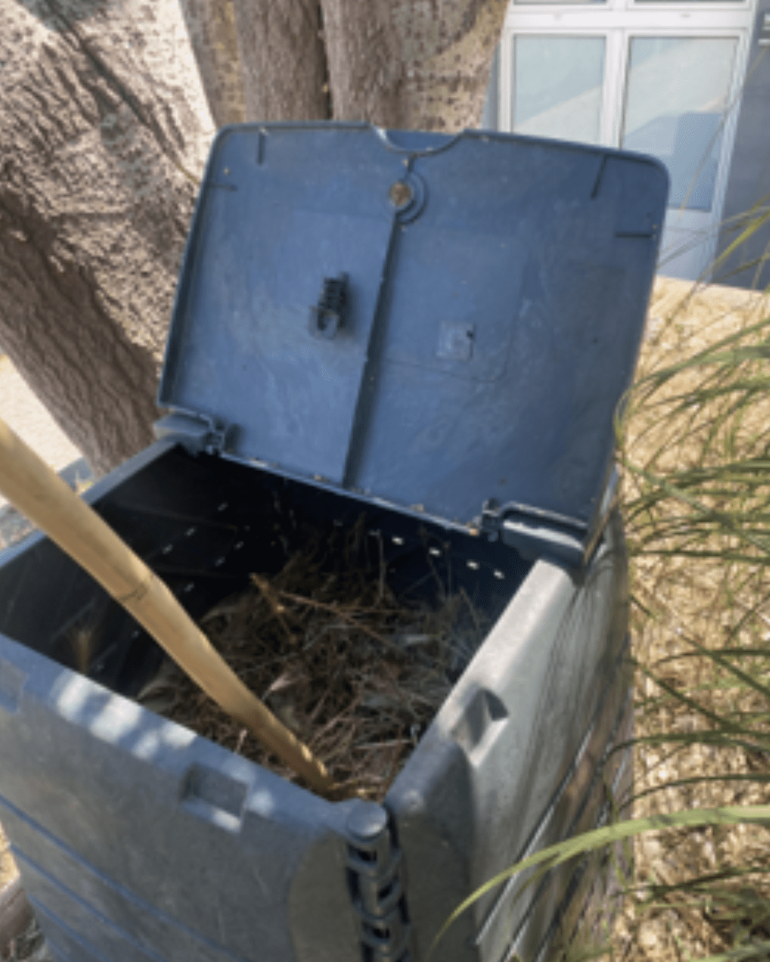 Projeto de Compostagem na ULusófona