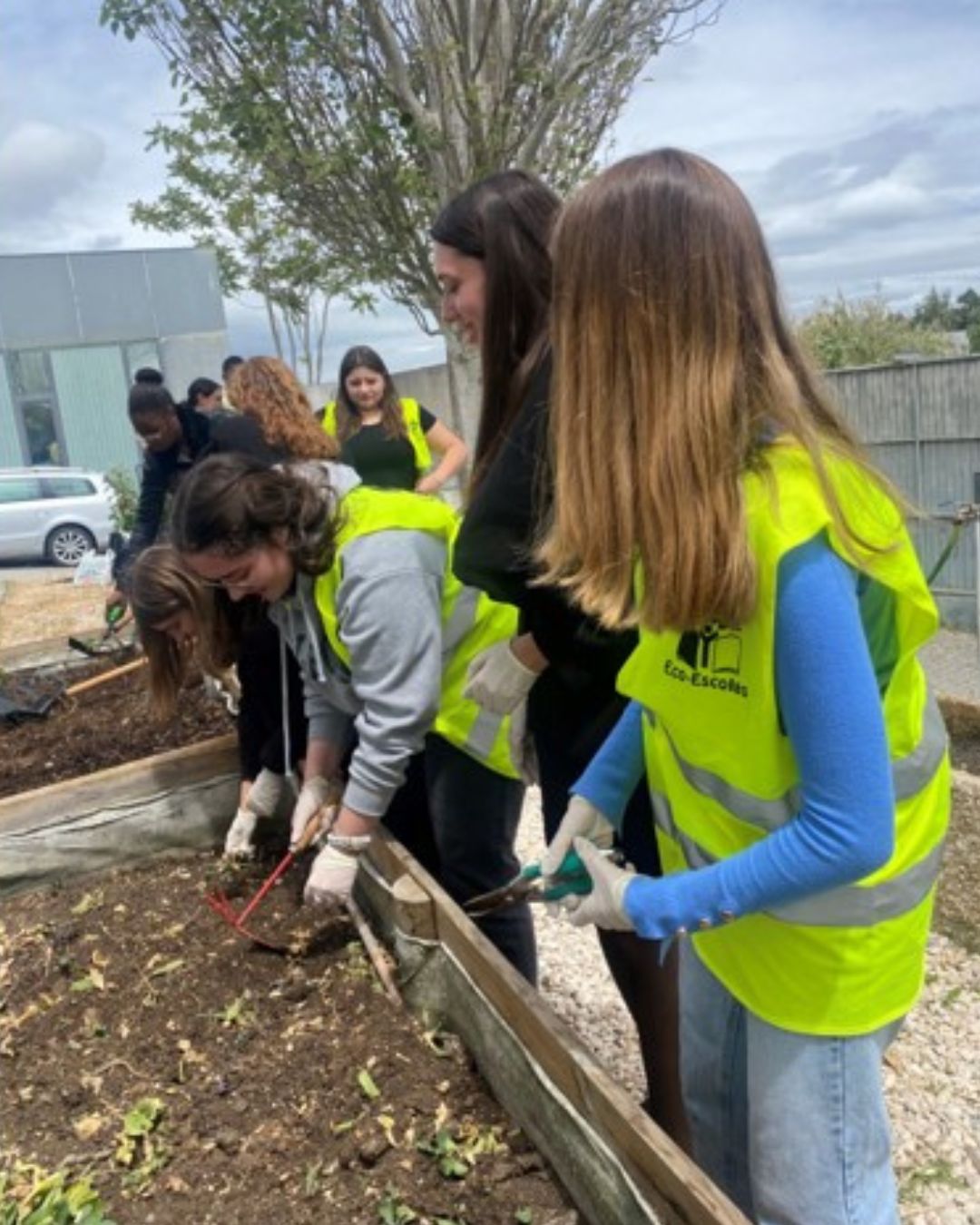 Renovação da Horta Biológica da Universidade Lusófona