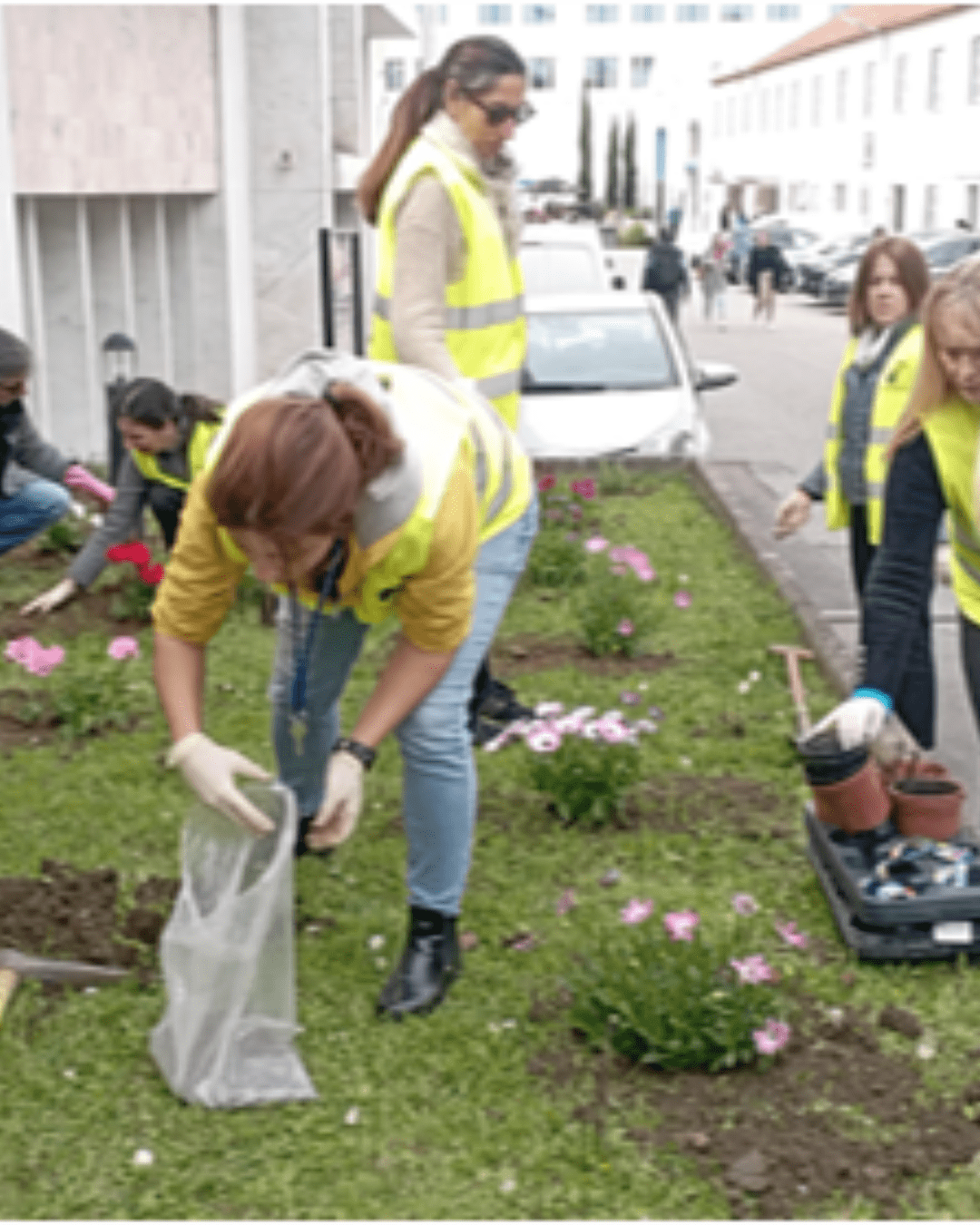 ULusófona Celebrates World Tree Day with Planting and Awareness Raising Action