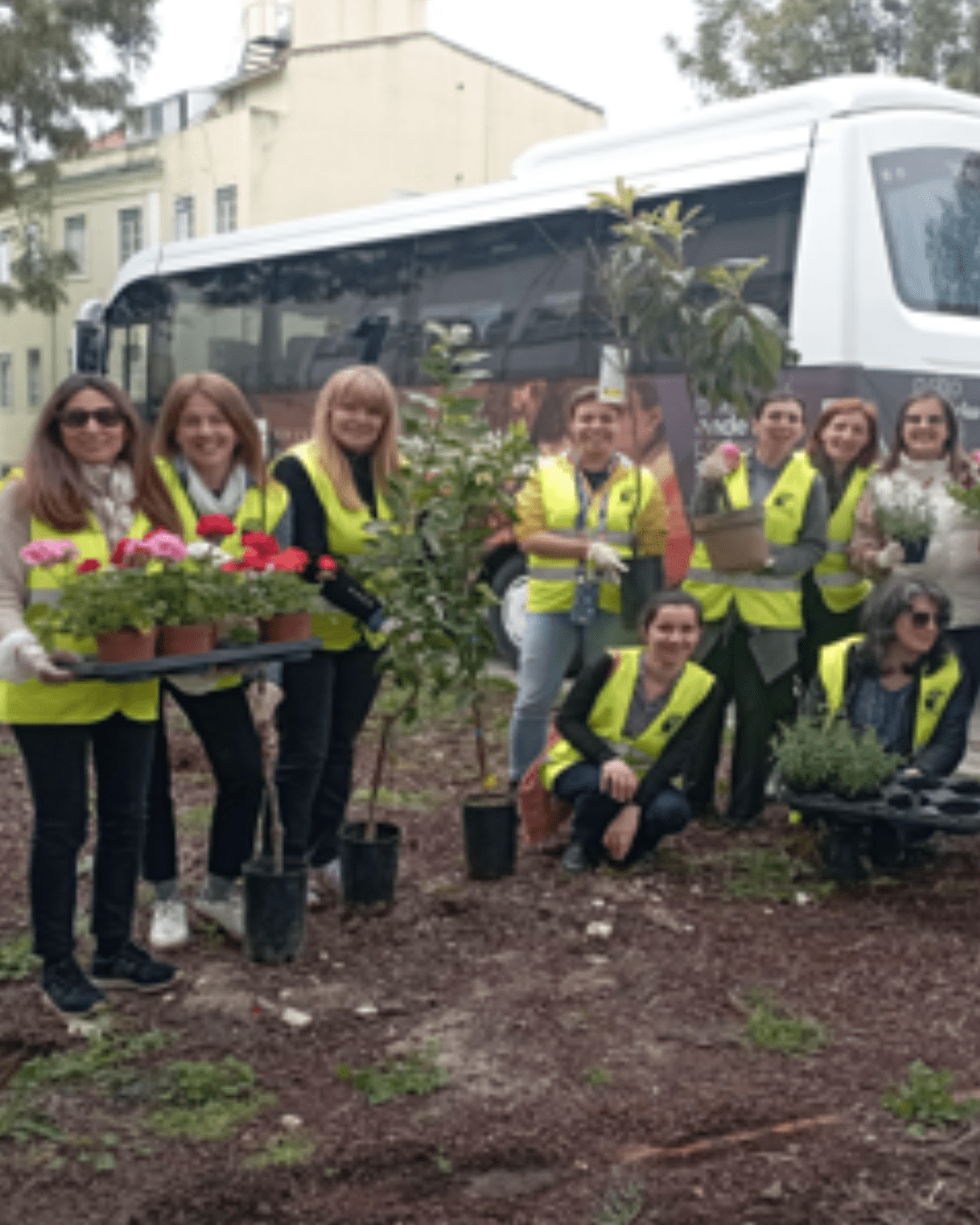 ULusófona Celebrates World Tree Day with Planting and Awareness Raising Action