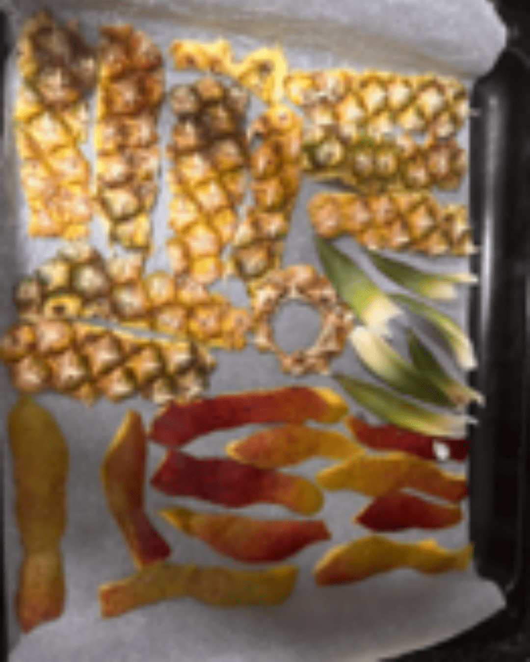 ULusófona Launches Innovative Canteen Waste Valorisation Project