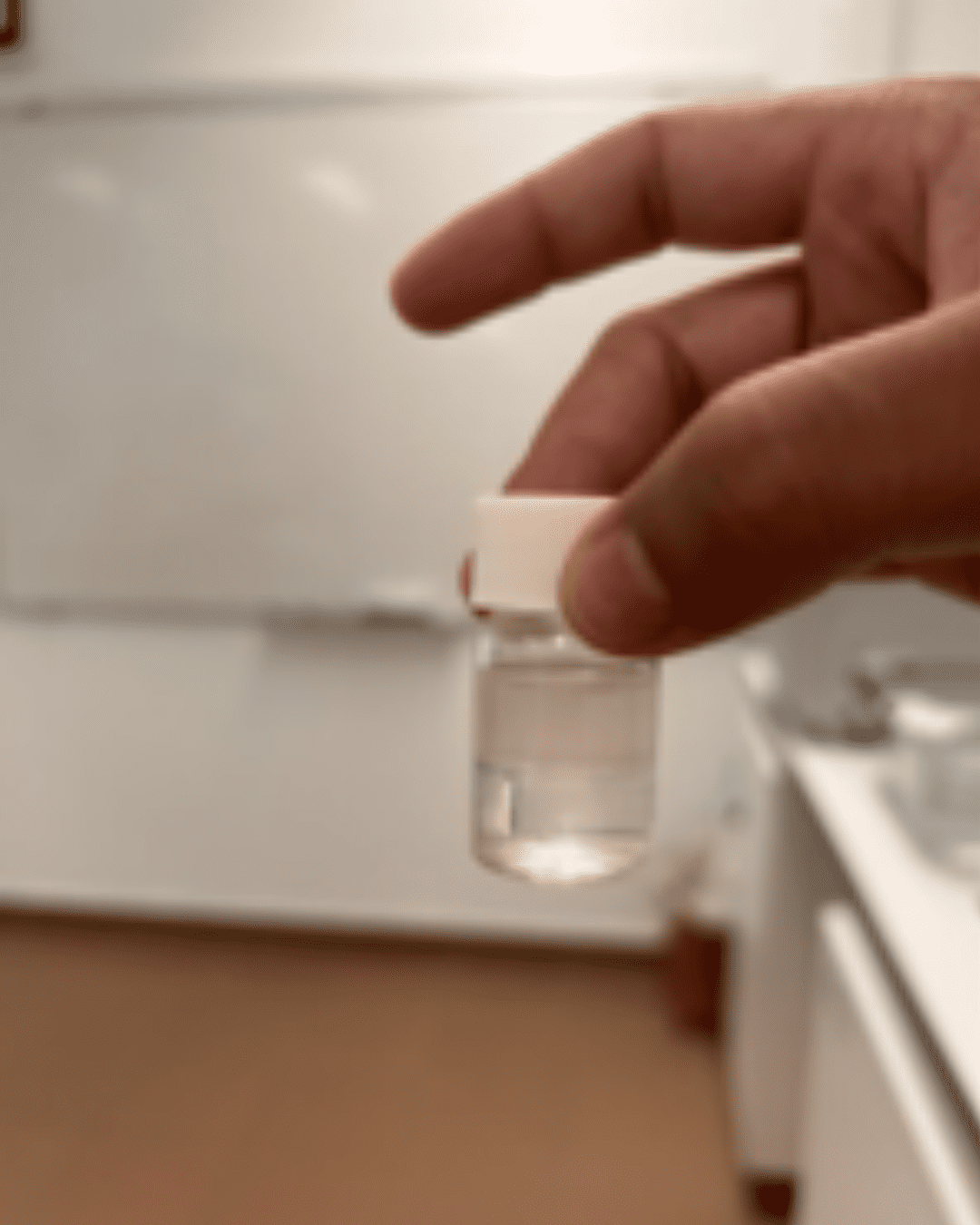 ULusófona Launches Innovative Canteen Waste Valorisation Project
